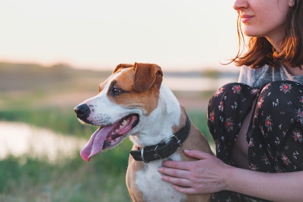 What To Know About Emotional Support Animals